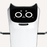 BellaBot